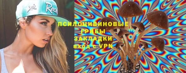 МДПВ Каменск-Шахтинский