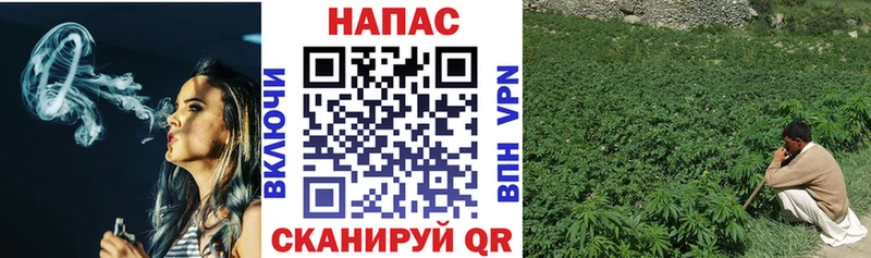 Купить закладки  Владикавказ  Канабис марихуана 